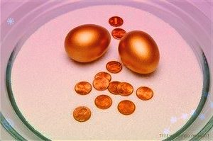 000732泰禾集团4月1日全天跌幅2.04%,股价下跌0.07元